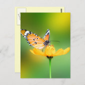 Sitzen Hübscher kleiner Schmetterling auf einer Bl Postkarte (Vorne/Hinten)