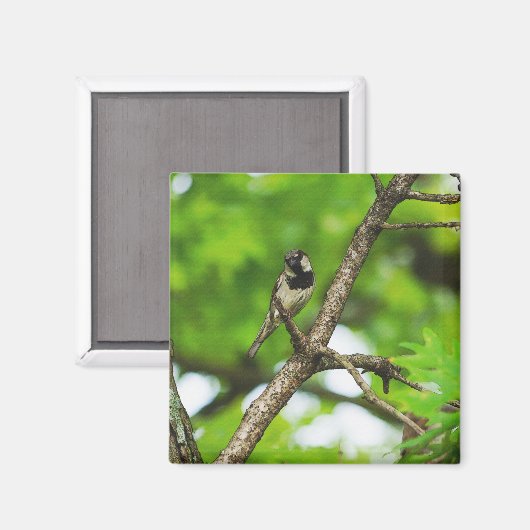 Sitzen Magnet (Vorderseite/Rückseite)