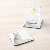 Sitzen Maine-Waschbären (8 Monate alte) Untersetzer (Rechte Seite)