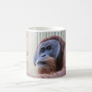 Sitzen Orang Utan Kaffeetasse