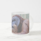 Sitzen Orang Utan Mattglastasse (VorderseiteRechts)