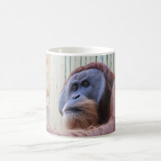 Sitzen Orang Utan Verwandlungstasse