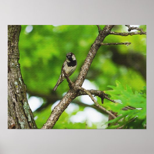 Sitzen Poster (Vorne)