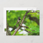 Sitzen Postkarte (Vorne/Hinten)