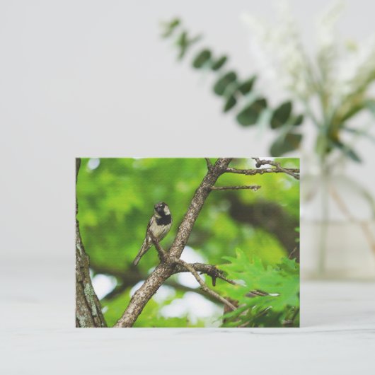 Sitzen Postkarte (Stehend Vorderseite)