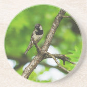 Sitzen Untersetzer (Vorne)