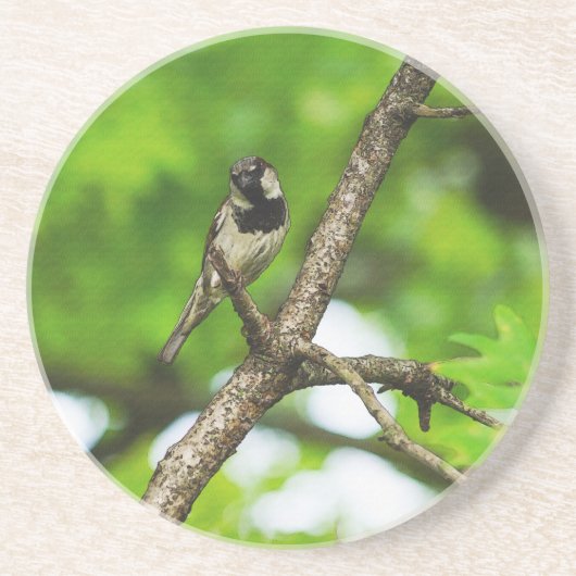 Sitzen Untersetzer (Vorne)