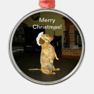 Sitzend hübscher Dachshund Weihnachts-Schmuckanhän Silbernes Ornament