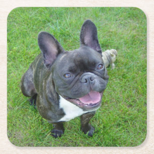sitzende 2 französische Bulldogge Rechteckiger Pappuntersetzer