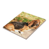 Sitzende Basset Hound-Fliese Fliese (Seite)