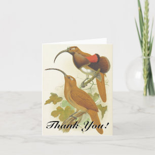 Sitzende Vögel mit langen Schnäbeln "Danke!" Dankeskarte