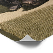 Sitzende weibliche Figur, 3500-2500 v. Chr. Poster (Ecke)