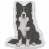 Sitzender Border Collie Aufkleber (Vorderseite)