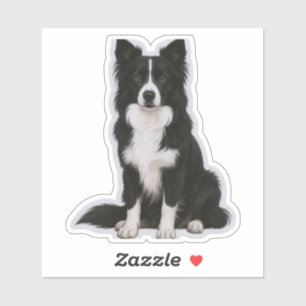 Sitzender Border Collie Aufkleber
