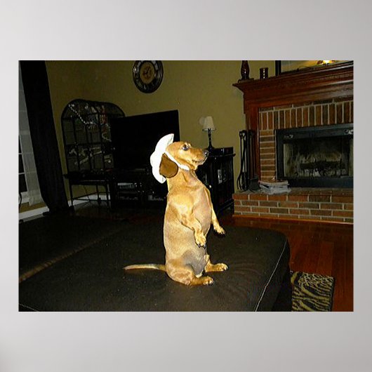 Sitzender hübscher Dachshund Poster (Vorne)