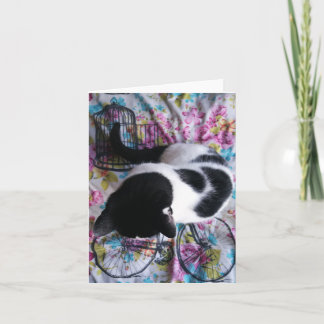 Sitzender hübscher Kitty Notecard Karte