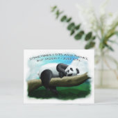 Sitzender Panda Postkarte (Stehend Vorderseite)