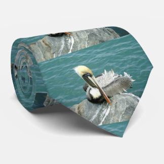 Sitzender Pelikan Krawatte