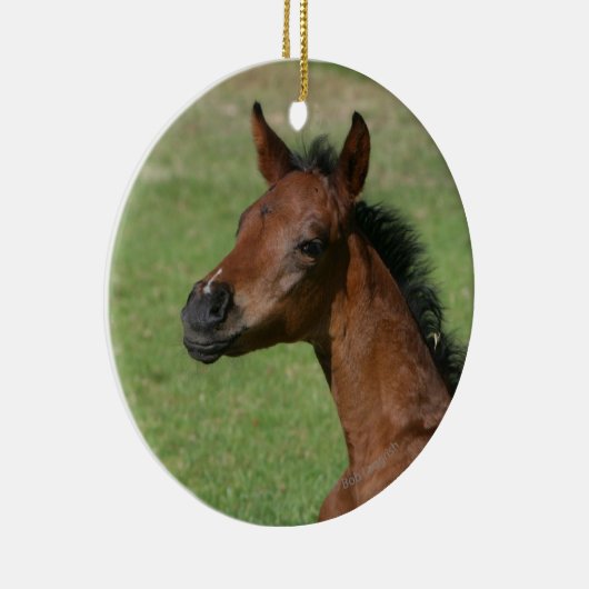 Sitzendes arabisches Fohlen Keramikornament (Rechts)