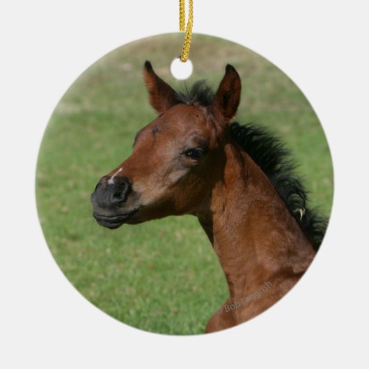 Sitzendes arabisches Fohlen Keramikornament (Vorne)