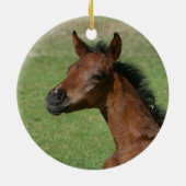 Sitzendes arabisches Fohlen Keramikornament (Hinten)