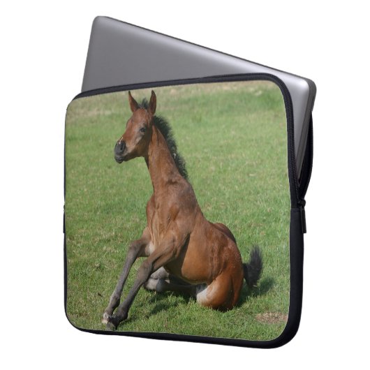 Sitzendes arabisches Fohlen Laptopschutzhülle (Vorderseite Links)