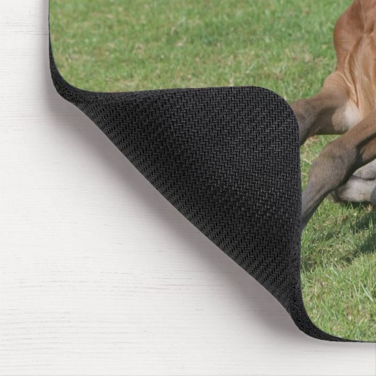 Sitzendes arabisches Fohlen Mousepad (Ecke)