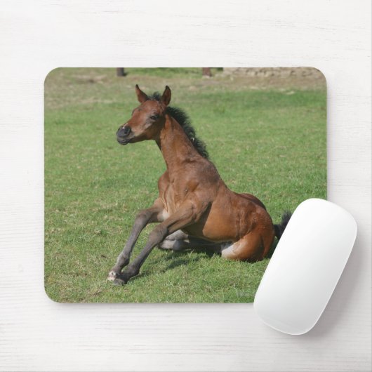 Sitzendes arabisches Fohlen Mousepad (Mit Mouse)