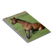 Sitzendes arabisches Fohlen Notizblock (Rechte Seite)