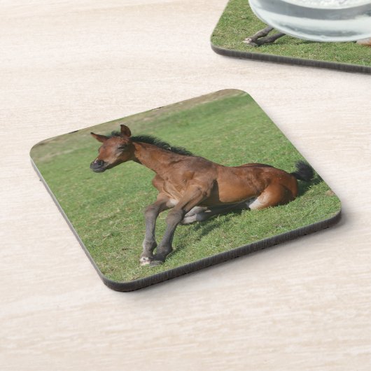 Sitzendes arabisches Fohlen Untersetzer (Linke Seite)