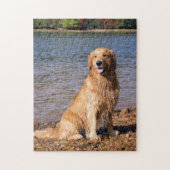 Sitzendes golden retriever puzzle (Vertikal)