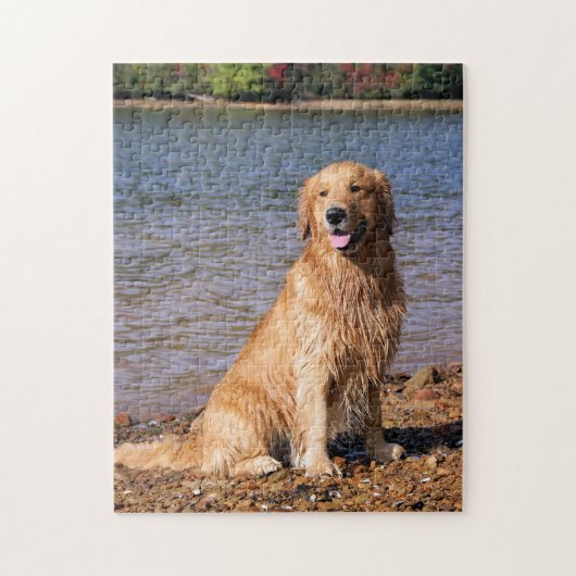 Sitzendes golden retriever puzzle (Vertikal)