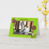 Sitzendes grünes Braun des Fotos der Kalikokatze Karte (Gelbe Blume)