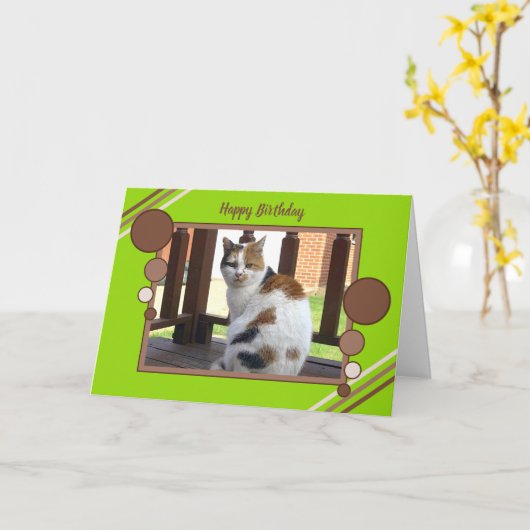 Sitzendes grünes Braun des Fotos der Kalikokatze Karte (Gelbe Blume)