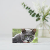 Sitzkarte für Haustiere Visitenkarte (Stehend Vorderseite)