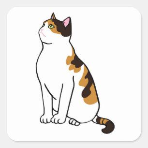 Sitzkatze Quadratischer Aufkleber