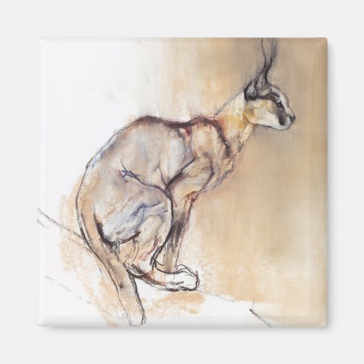 Sitzplatz Caracal 2009 Magnet (Vorne)