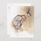 Sitzplatz Caracal 2009 Postkarte (Vorne/Hinten)