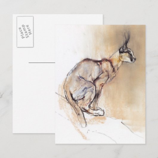 Sitzplatz Caracal 2009 Postkarte (Vorne/Hinten)