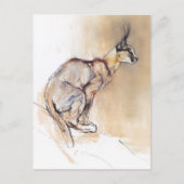 Sitzplatz Caracal 2009 Postkarte (Vorderseite)