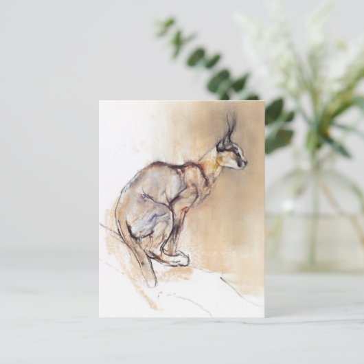 Sitzplatz Caracal 2009 Postkarte (Stehend Vorderseite)