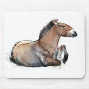 SitzPrzewalski 2011 Mousepad