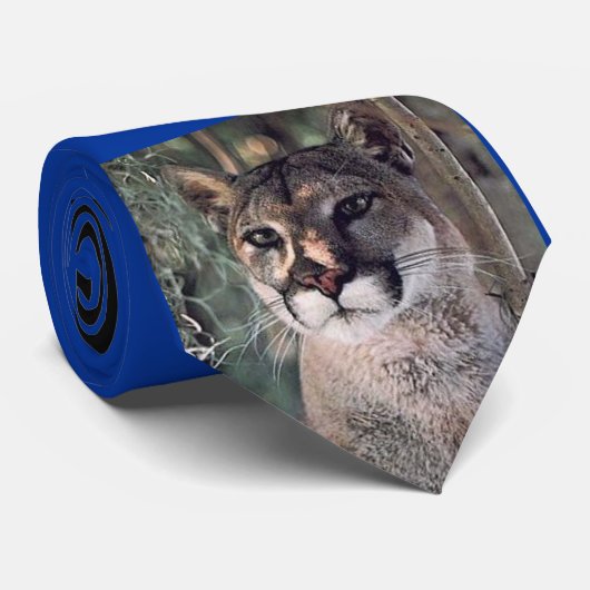 SitzPuma, Snaarling Puma, Puma-Stolz Krawatte (Gerollt)