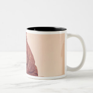 Sitzstatue der Basho Edo-Zeit Zweifarbige Tasse