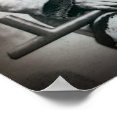 SITZUNG BULL LAKOTA CHIEF 1884 POSTER (Ecke)