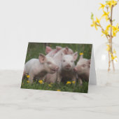 Sitzung der drei kleinen Schweine Karte (Gelbe Blume)