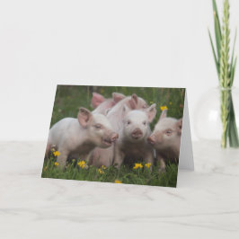 Sitzung der drei kleinen Schweine Karte