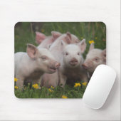 Sitzung der drei kleinen Schweine Mousepad (Mit Mouse)