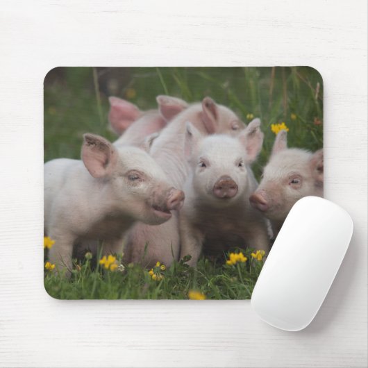 Sitzung der drei kleinen Schweine Mousepad (Mit Mouse)
