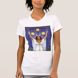 Sitzungs-Behälter 2012 T-Shirt